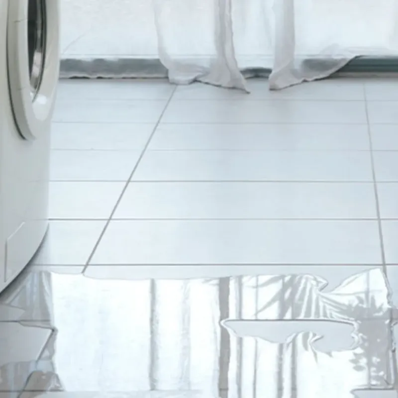 Appliance Leak Cleanup in Peru, IN