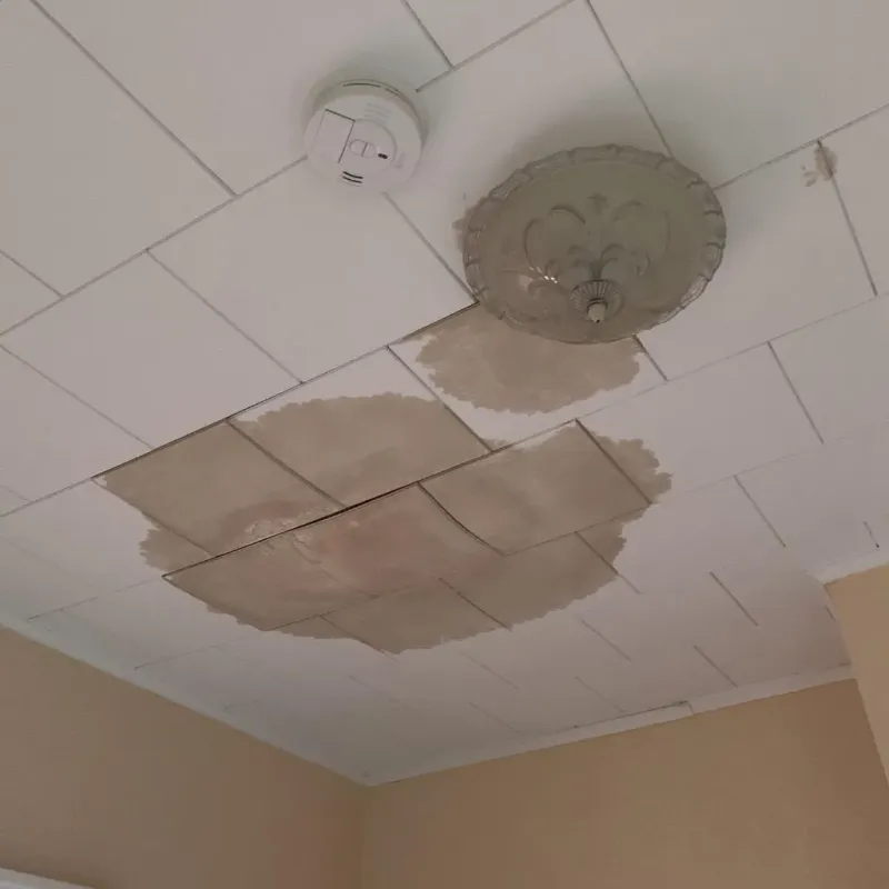 Ceiling Water Damage Repair in Peru, IN
