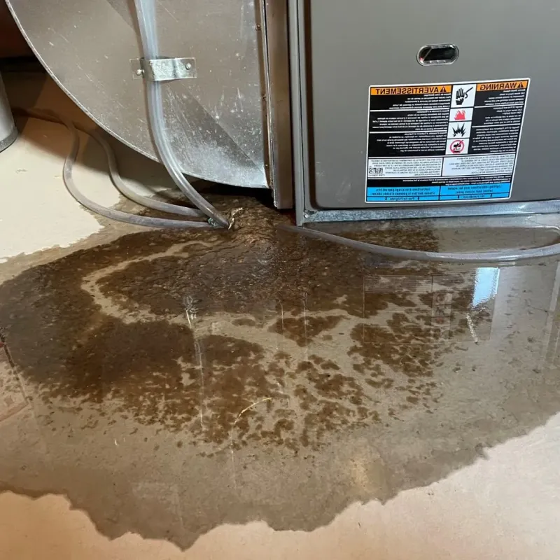 Pipe Burst and Leak Restoration in Peru, IN